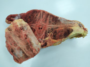 Стейк хребет говядина (кость+мясо)