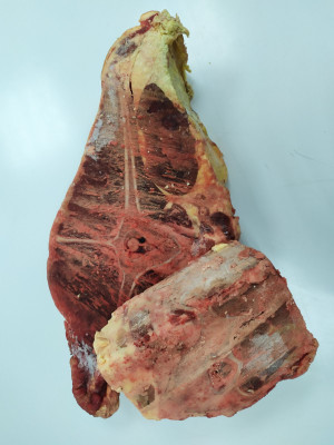 Стейк хребет говядина (кость+мясо) 