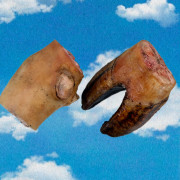 Ноги говяжьи