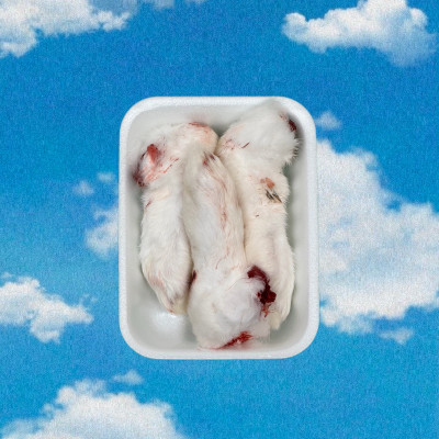 Лапки кролика (1кг.) Лапки кролика — маленькое лакомство с большим удовольствием