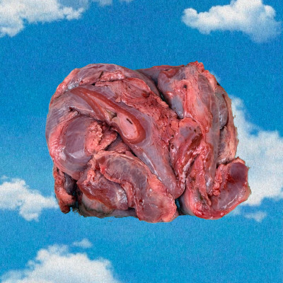 Пикальное мясо 