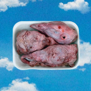 Головы индейки