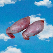 Семенники говяжьи