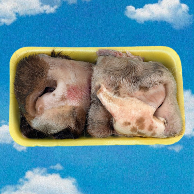 Носогубы говяжьи (фасовка под заказ) Когда хочется чего-то по-настоящему серьёзного, но с хрустом удовольствия.