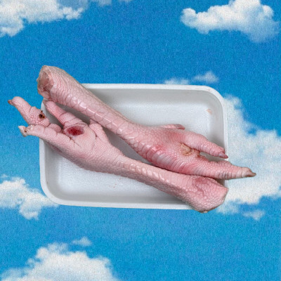 Лапы индейки  